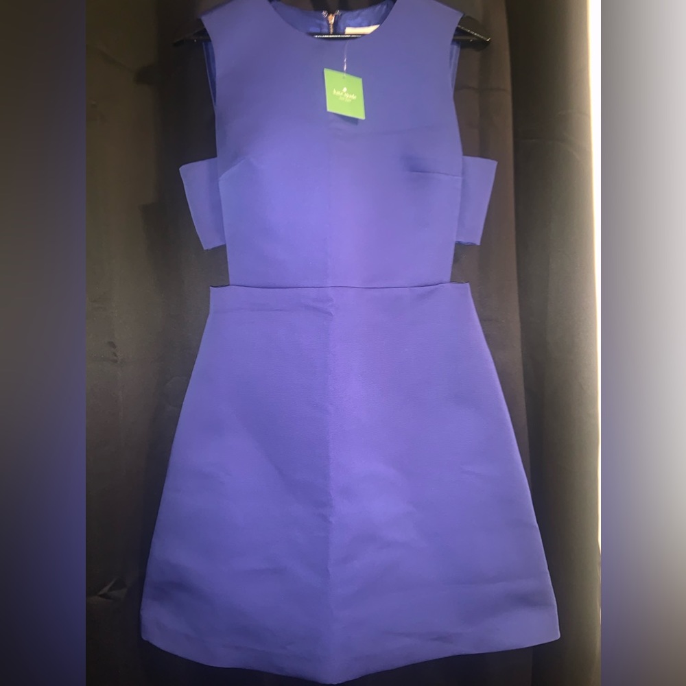 Elegant Blue Dress